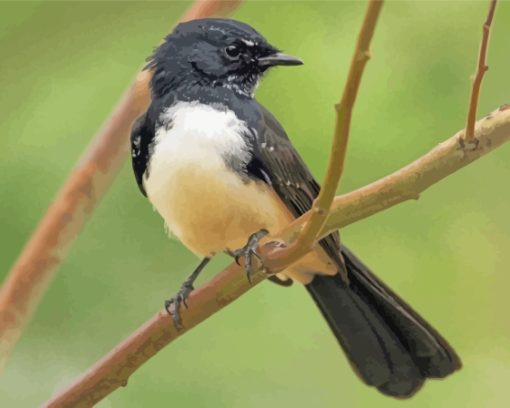 Aesthetic Willy Wagtail Bird Diamond Paintings