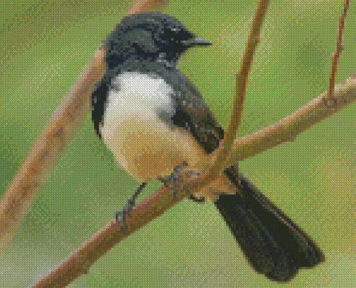 Aesthetic Willy Wagtail Bird Diamond Paintings