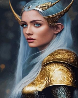 Aesthetic Elf Lady Warrior Diamond Paintings