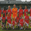 Arsenal Women Players Diamond Paintings