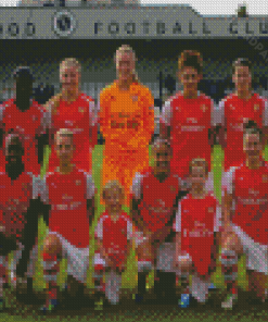 Arsenal Women Players Diamond Paintings