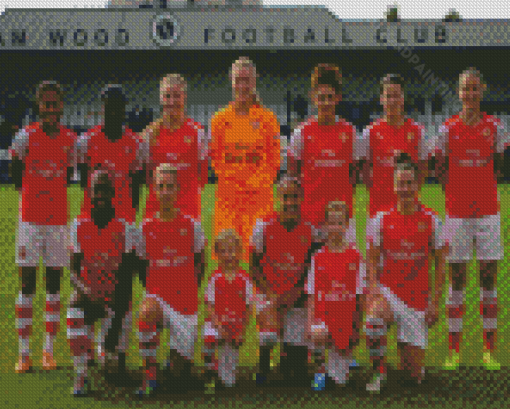 Arsenal Women Players Diamond Paintings