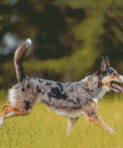 Aussie Dog Diamond Paintings