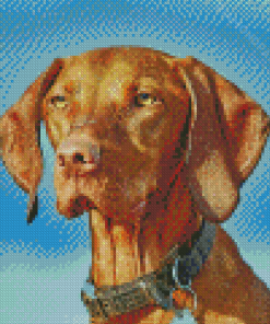 Brown Pointing Dog Diamond Paintings