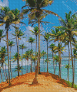 Coconut Trees Diamond Paintings