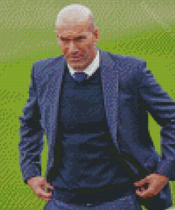 Cool Zinedine Zidane Diamond Paintings