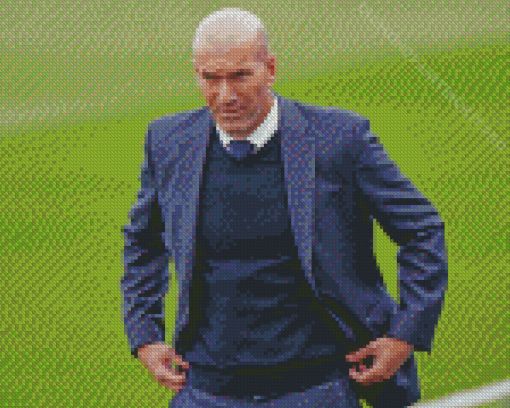 Cool Zinedine Zidane Diamond Paintings