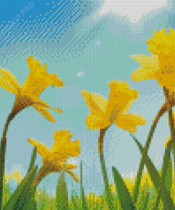 Field Of Daffodils Flowers Diamond Paintings