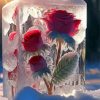Frozen Roses Diamond Paintings