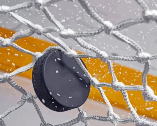 Hockey Puck In Net Diamond Paintings