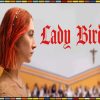 Lady Bird Poster Diamond Paintings