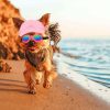 Puppy With Summer Hat In Beach Diamond Paintings