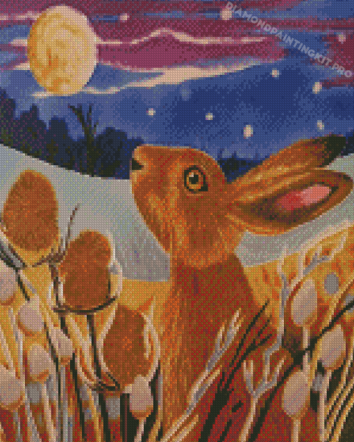 Rabbit Looking At The Moon Diamond Paintings