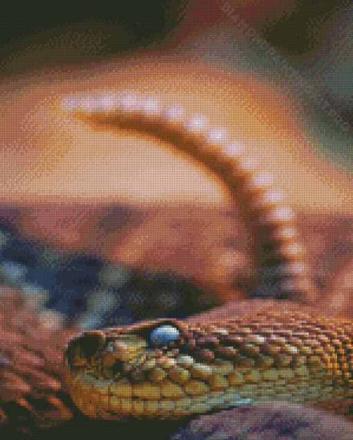 Rattlesnake Head Diamond Paintings
