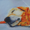 Sleeping Dog And Cat Arts Diamond Paintings