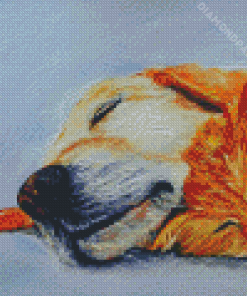 Sleeping Dog And Cat Arts Diamond Paintings