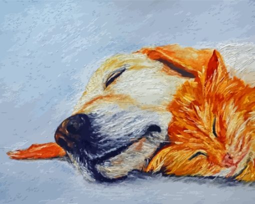 Sleeping Dog And Cat Arts Diamond Paintings