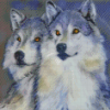 Aesthetic Wolf Couple Diamond Paintings