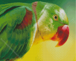 Green Alexandrine Parakeet Bird Diamond Paintings