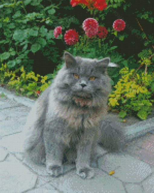 Angry Long Hair Grey Cat Diamond Paintings