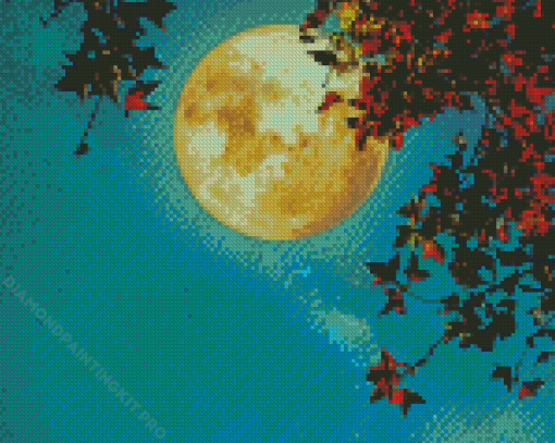 Autumn Moonlight Diamond Paintings