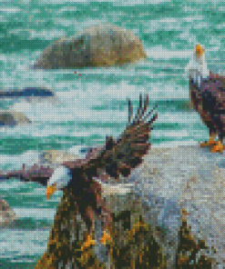 Bald Eagles Birds On The River Diamond Paintings