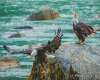 Bald Eagles Birds On The River Diamond Paintings
