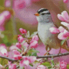 Birds And Blossom Diamond Paintings