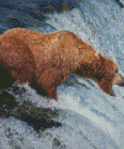 Brown Bear Fishing In Water Diamond Paintings