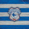 Cardiff City Football Logo Diamond Paintings