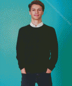 Classy Jace Norman Diamond Paintings