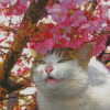 Cute Cat In Cherry Tree Diamond Paintings