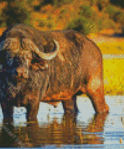 Domestic Water Buffalo Diamond Paintings