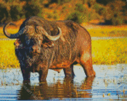 Domestic Water Buffalo Diamond Paintings