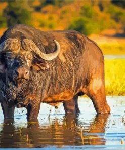 Domestic Water Buffalo Diamond Paintings