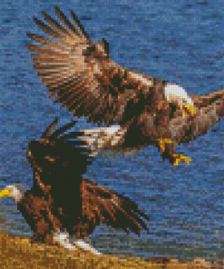Eagles On The River Diamond Paintings