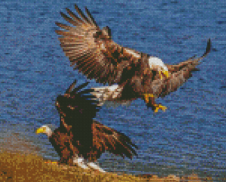 Eagles On The River Diamond Paintings