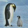 Emperor Penguin And Baby Penguin Diamond Paintings