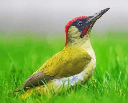 European Woodpecker Bird Diamond Paintings