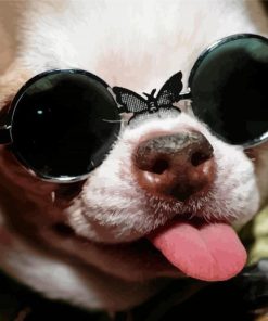 Funny Chihuahua With Glasses Diamond Paintings