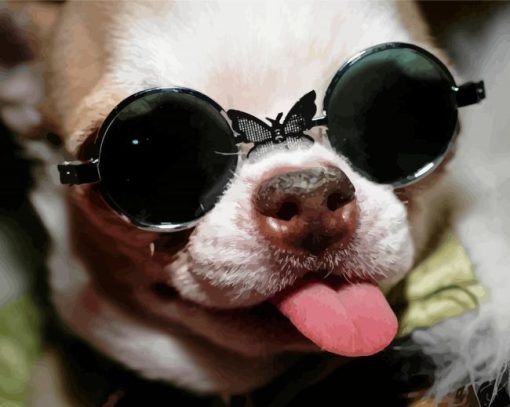 Funny Chihuahua With Glasses Diamond Paintings