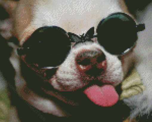 Funny Chihuahua With Glasses Diamond Paintings