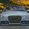 Grey Audi S5 Front Diamond Paintings