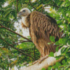 Himalayan Vulture Bird On Tree Diamond Paintings