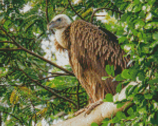 Himalayan Vulture Bird On Tree Diamond Paintings