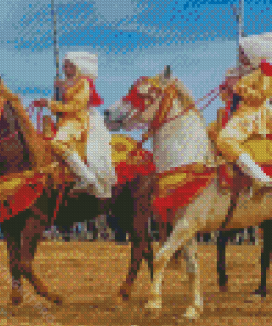 Horse Show In Morocco Diamond Paintings