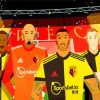 Illustration Watford FC Players Diamond Paintings