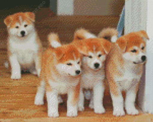 Japanese Puppies Diamond Paintings