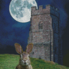 Moon Hare Art Diamond Paintings