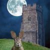 Moon Hare Art Diamond Paintings